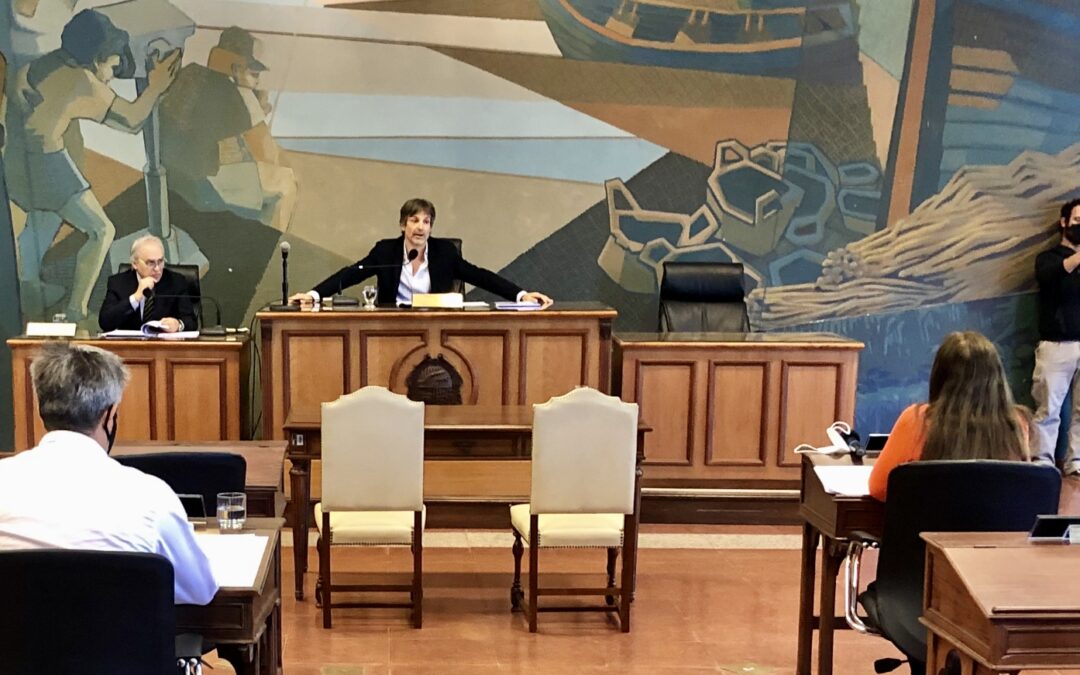 SEGUNDO CERNADAS PIDIÓ UNA LEY QUE INCLUYA  PARIDAD DE GÉNERO EN EL REEMPLAZO DE TODOS LOS CARGOS ELECTIVOS PROVINCIALES