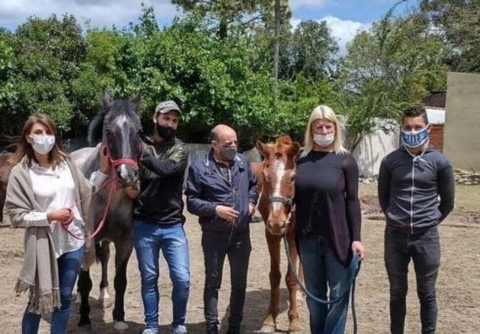 QUIEREN ABRIR UN REFUGIO PARA CABALLOS MALTRATADOS EN TIGRE