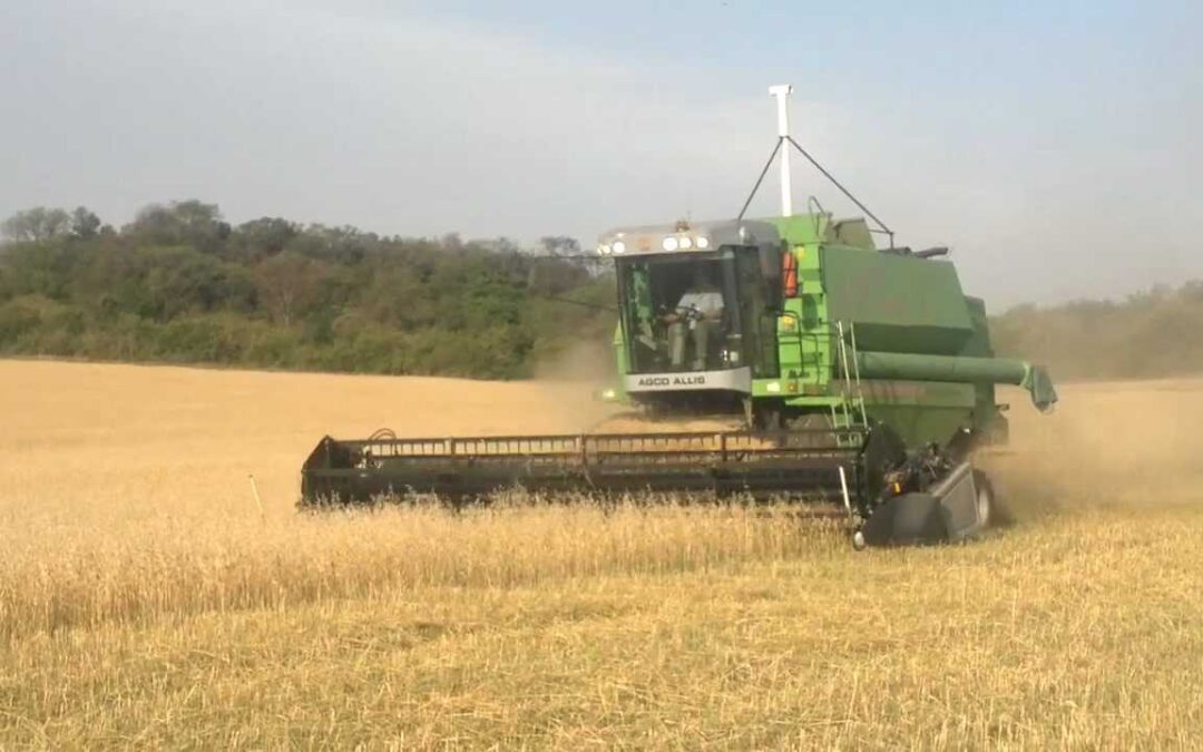 Continúa la pérdida de competitividad de productores argentinos frente a uruguayos y brasileños