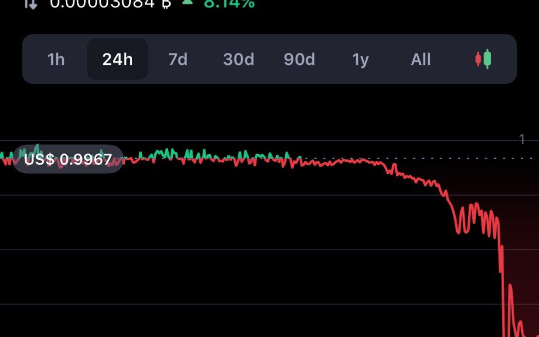 LA TERCERA CRIPTOMONEDA MÁS ESTABLE PERDIÓ SU PARIDAD CON EL DÓLAR Y PROVOCÓ UNA AVALANCHA EN EL RUBRO