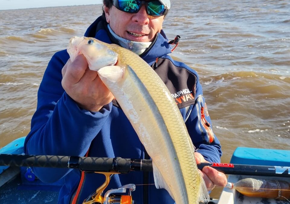 FIESTA DE PEJERREYES EN EL PLATA