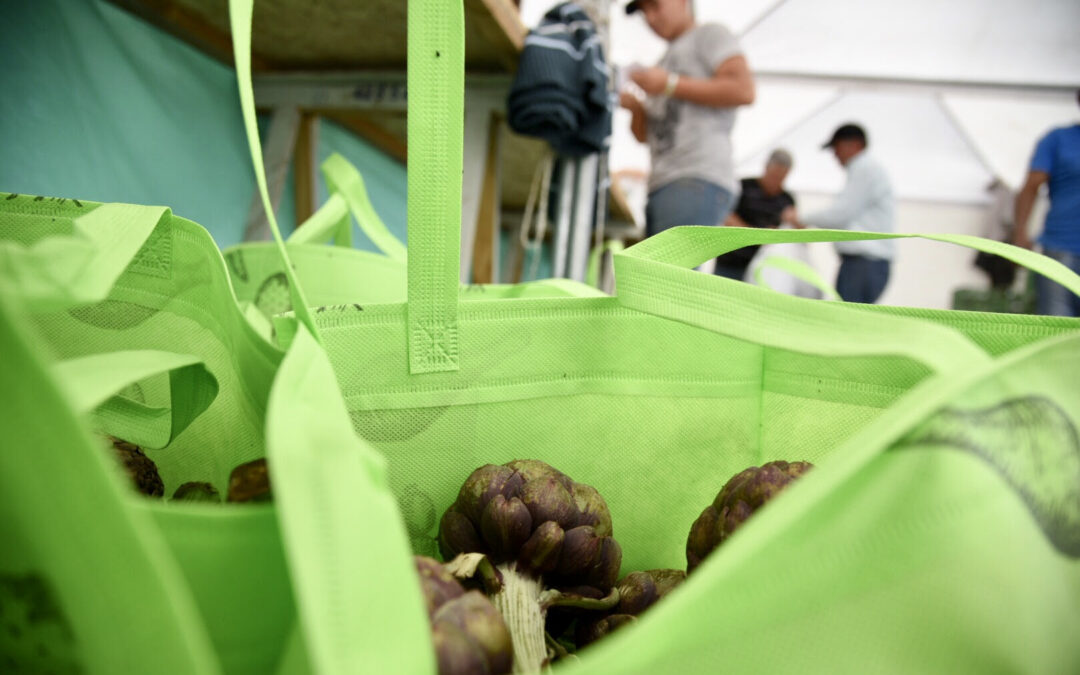 LOS DOS PRIMEROS DÍAS DE OCTUBRE: FIESTA DEL ALCAUCIL EN LA PLATA