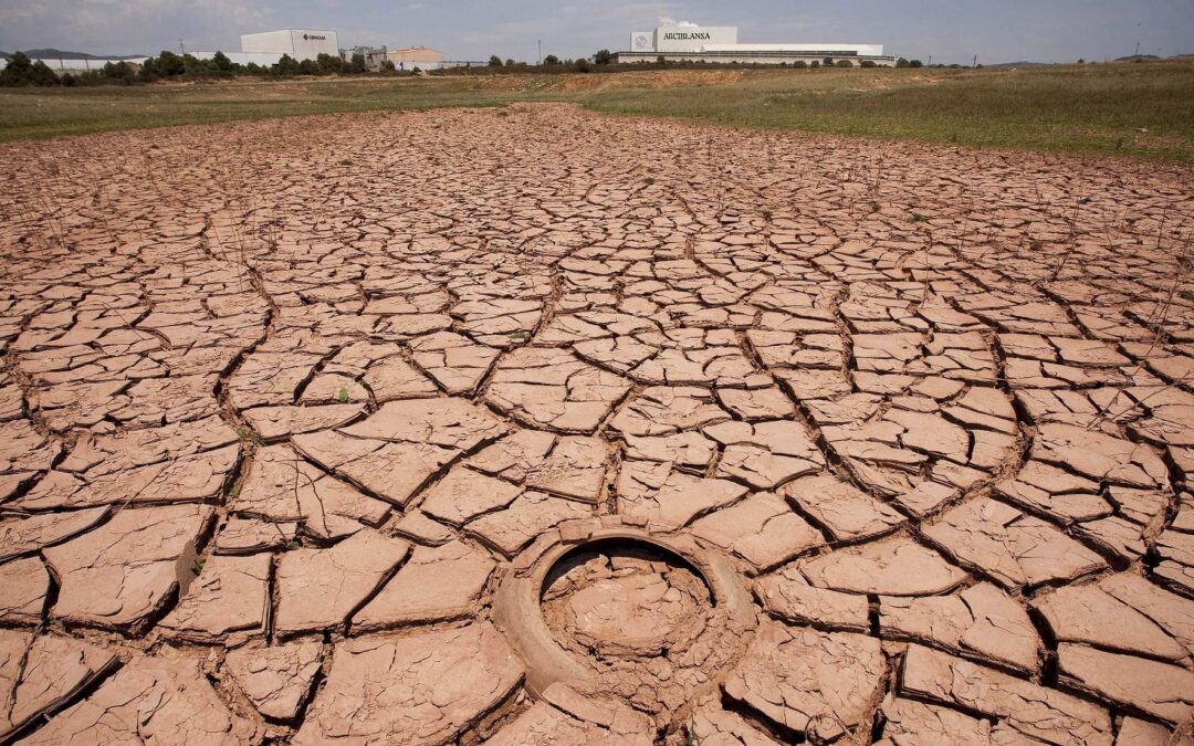 SE PROLONGA LA DURA SEQUÍA EN GRAN PARTE DEL CAMPO ARGENTINO