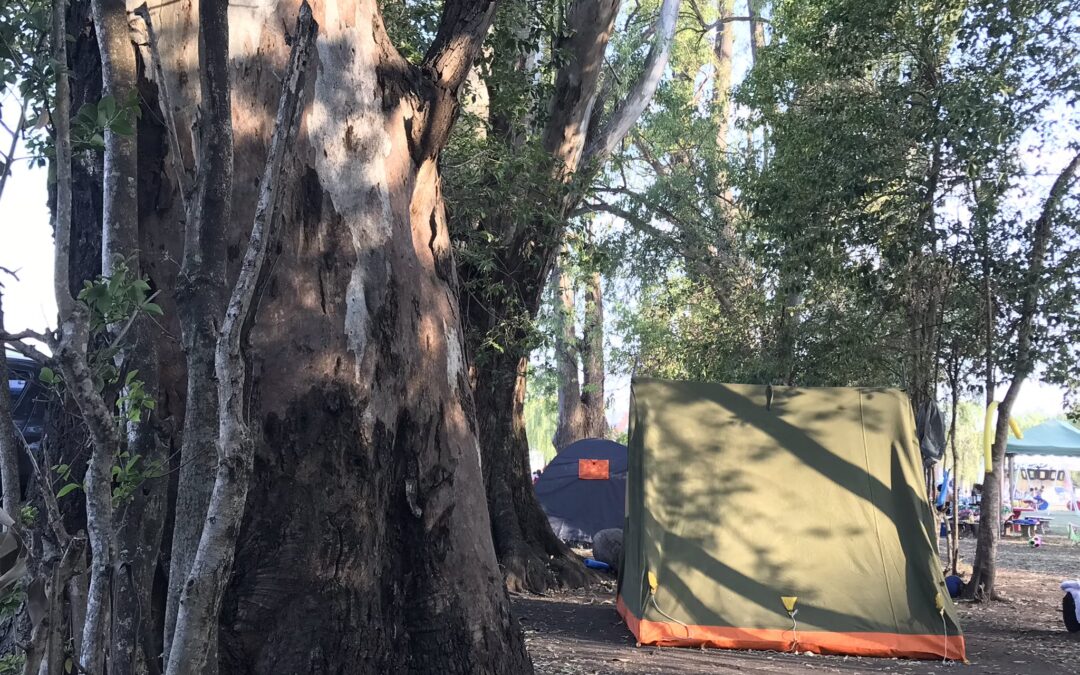 CUANDO LOS QUE NO RECLAMAN QUIEREN ACAMPAR, EL ESTADO NO LOS DEJA