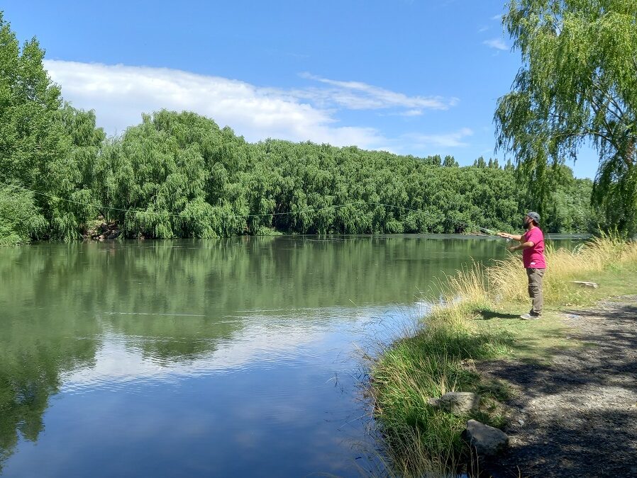 PESCA: UNA OPORTUNIDAD DE CRECIMIENTO OMITIDA POR EL GOBIERNO