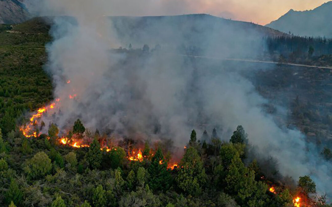 Incendios Forestales: Prevención y Consejos para los Turistas en El Bolsón